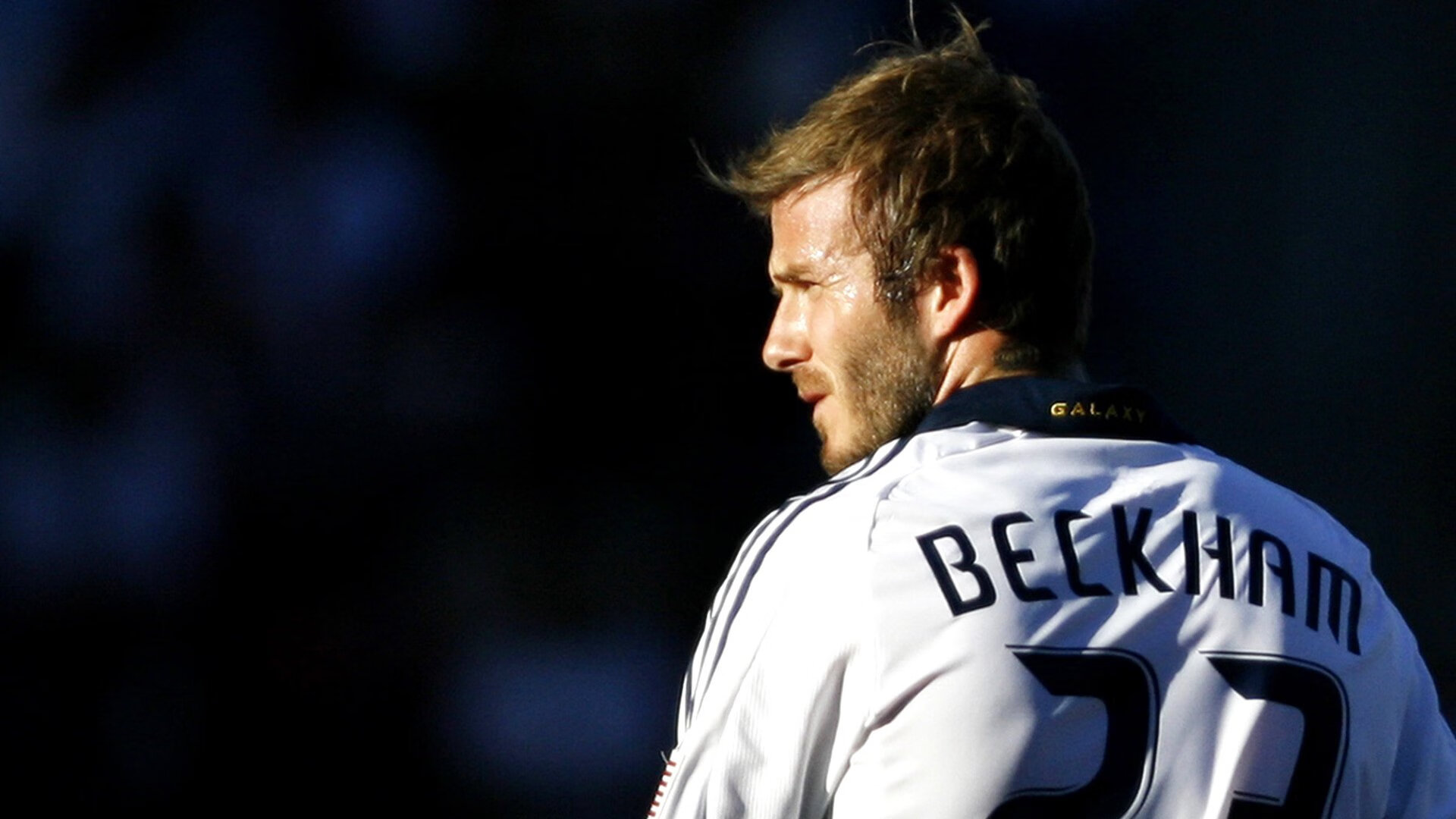 “雪域霸主：白色赛场的冠军归来”，雪域白图片