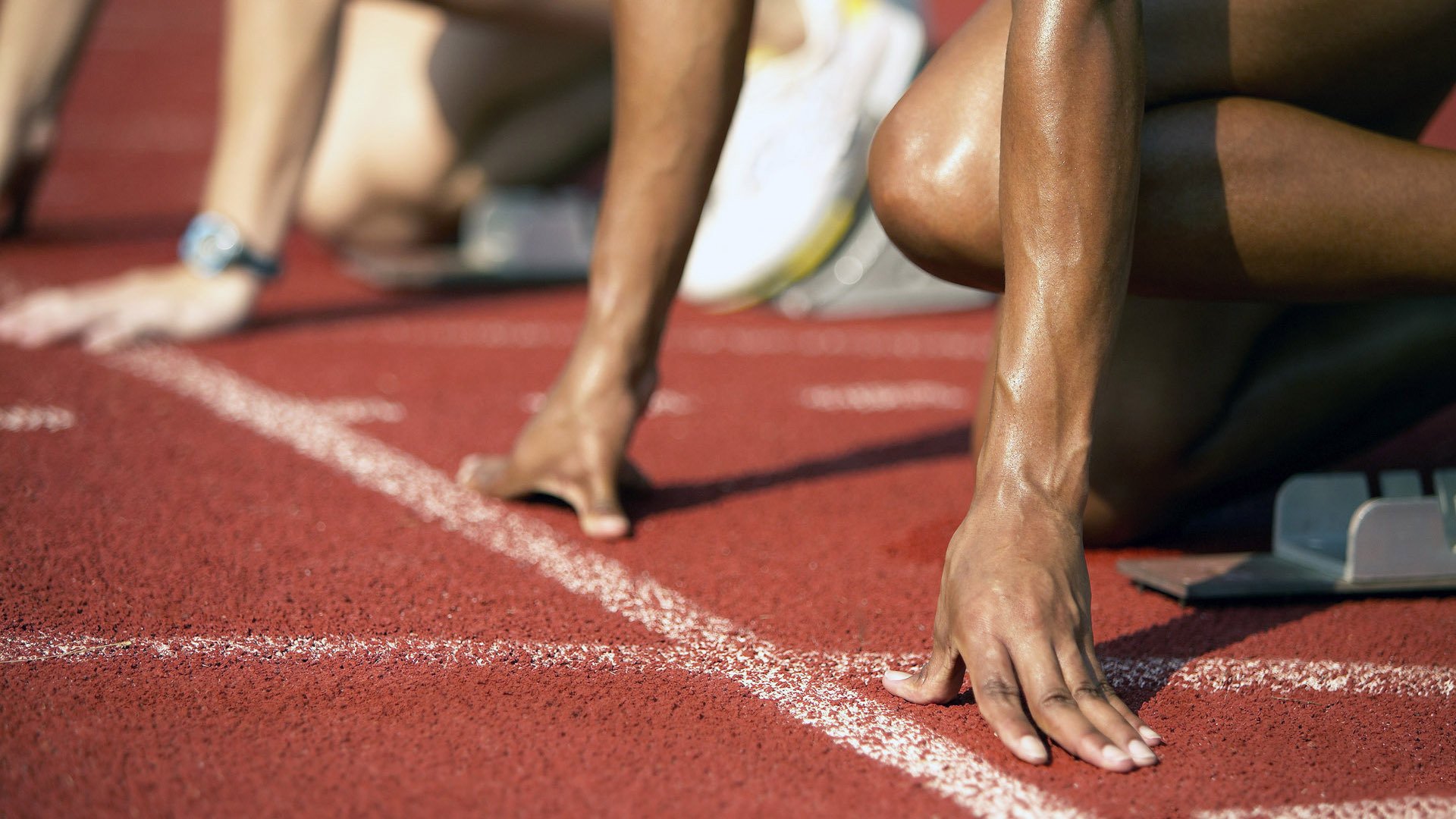 特色足球场馆“绿色+智慧”新理念在行业得到广泛认同和推广，足球比赛场馆